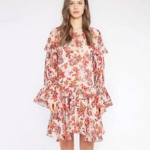 NEW IRO Averen Floral Print Ruffle Dress